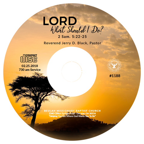 1188 Lord What Should I Do? (CD)