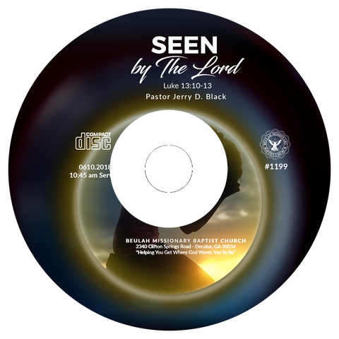 1199 Seen By The Lord (CD)